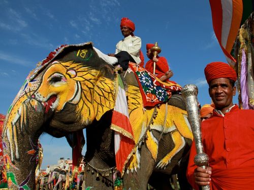 Výsledok vyhľadávania obrázkov pre dopyt Indické slony