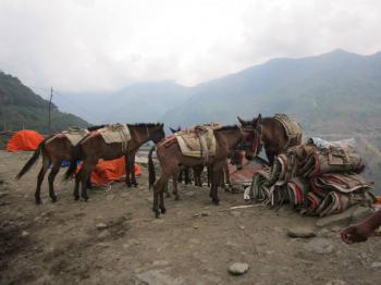 Nepál - Trek